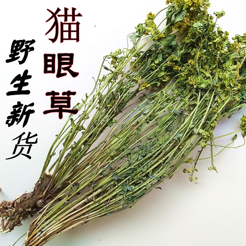 中药材茶新鲜干货大棵猫眼草21年新品泽漆猫儿眼五朵云带根干货250克