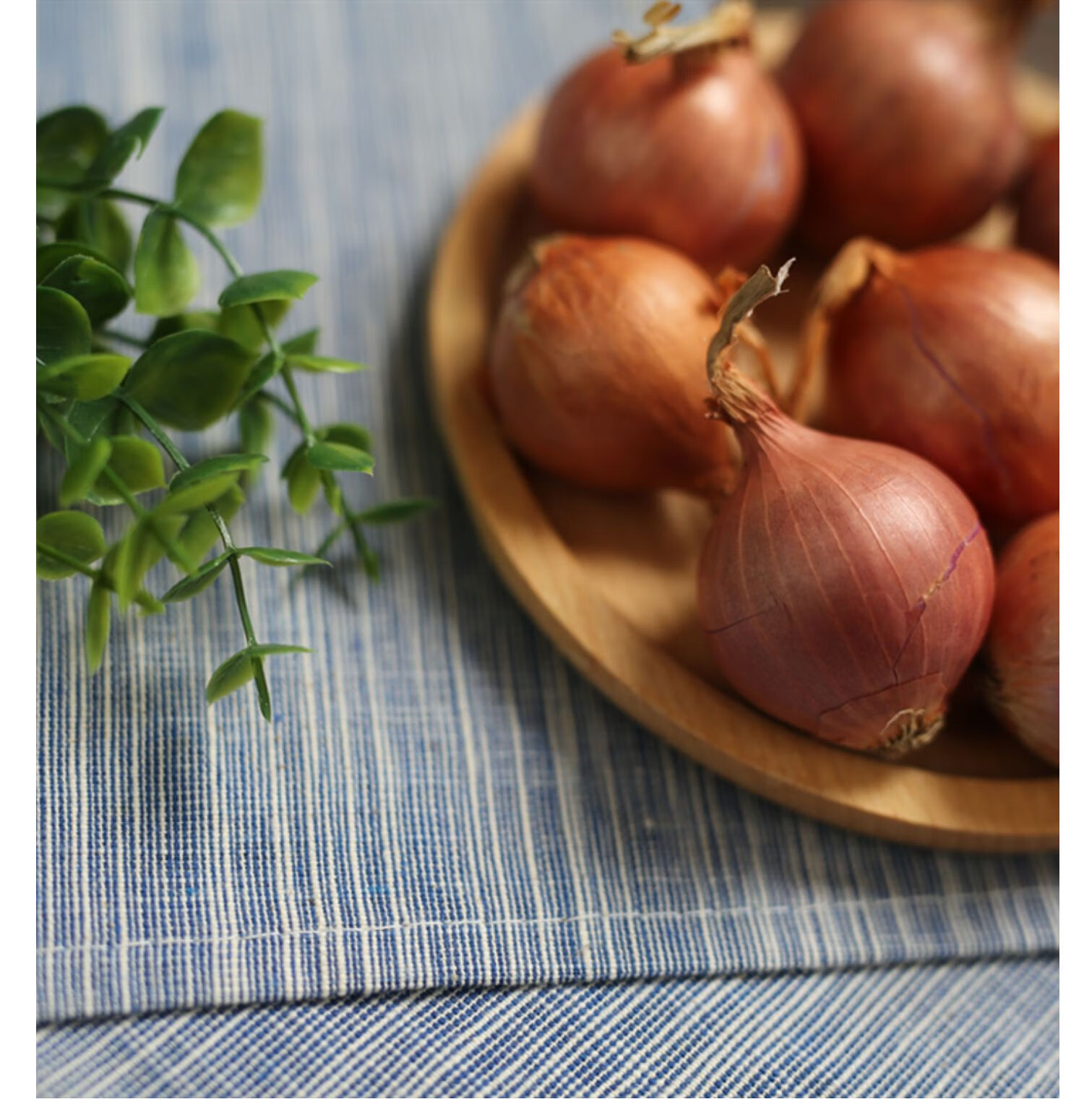 正宗东北新鲜小毛葱5斤迷你小圆洋葱农家鬼子葱笨洋葱红葱头生吃蘸酱