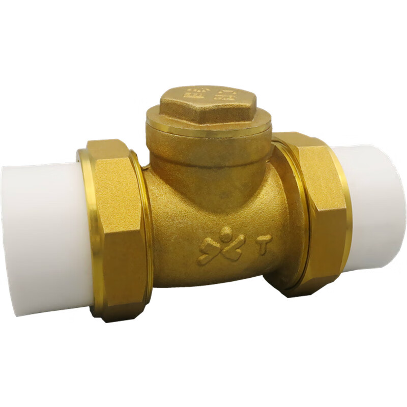 止回阀ppr双活接卧式单向阀逆止家用水管全铜水泵用倒流止水阀 63ppr