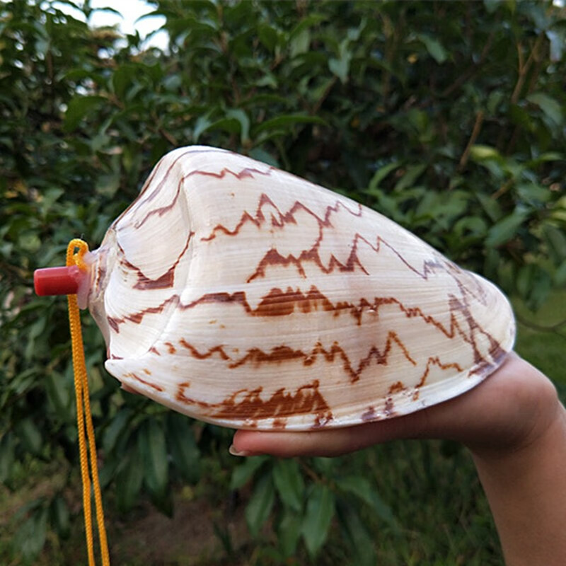 大海螺口哨响螺号角手工贝壳工艺品摆件创意旅游礼物儿童玩具吹号 15