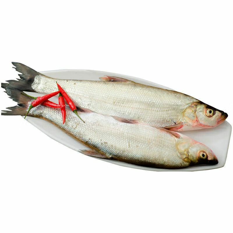 lism【正微山湖白条鱼】 鲜活白鱼小刀鱼小河鱼小白条柳叶餐鱼 一斤