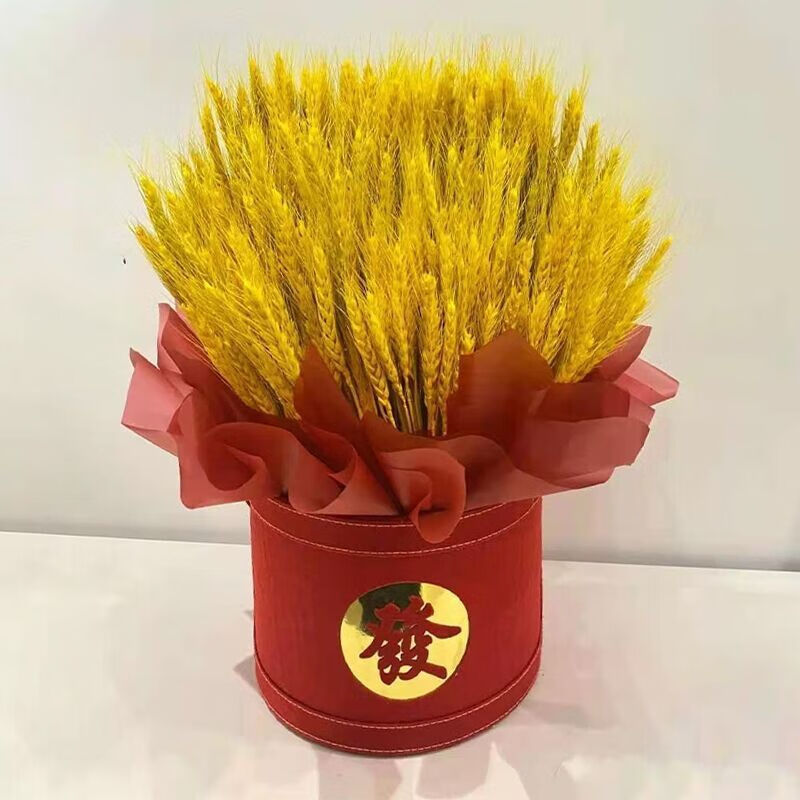 精选好礼天然麦穗干花花束开业大麦田园装饰礼品拍摄道具稻穗干花真花