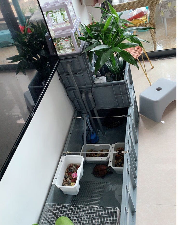 养龟箱带循环沼泽过滤塑料鱼缸养殖箱带晒台水陆两栖巴西鳄龟池缸