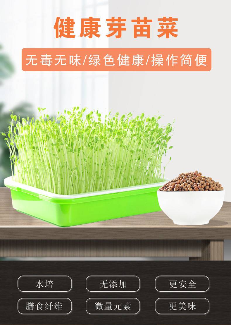 豆芽菜育苗盘芽苗菜种植盘种菜神器无土栽培水培蔬菜育苗盆托盘架