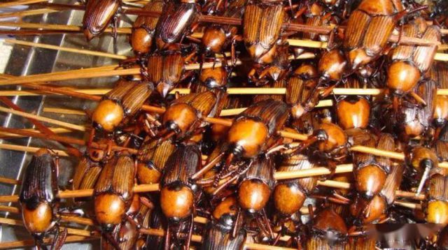 竹象虫 山珍美味烧烤美食小吃400克 云南特产竹虫 竹笋虫香脆 400克