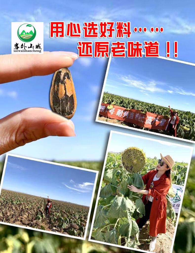 蔚县水煮手打鱼皮瓜子大颗粒散装袋装老街口五香咸味1000克【图片