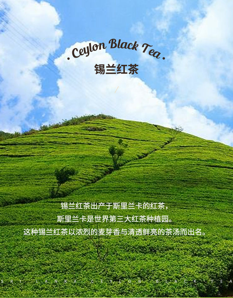 锡兰红茶茉莉茶四季春茶奶茶店专用原料茶叶奶茶 四季春茶 500g【图片