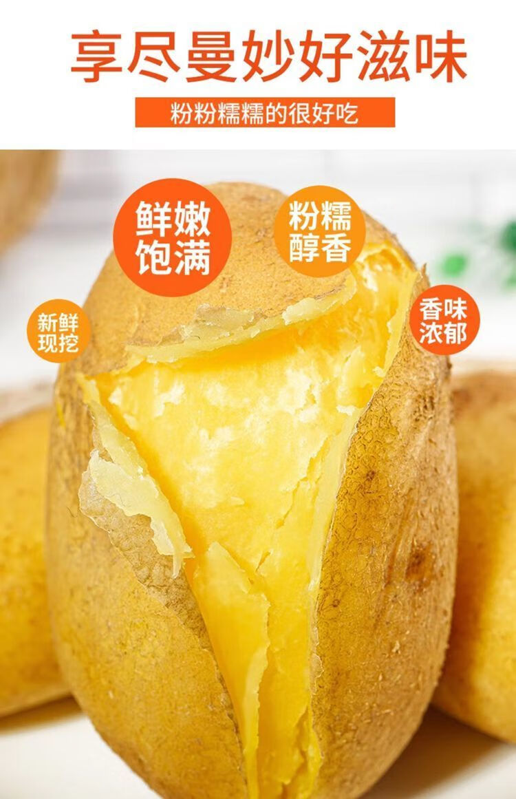 朵蕙 贵州威宁土豆新鲜现挖洋芋黄皮大个本地马铃薯粉糯批发沙面蔬菜