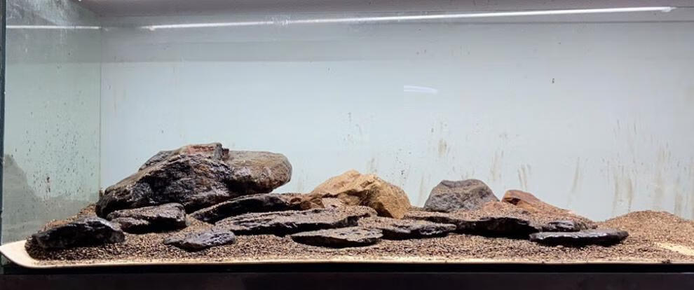 片岩原生溪流缸造景乌龟晒台虾虎三湖躲避爆藻开缸石冷水鱼溪流石中