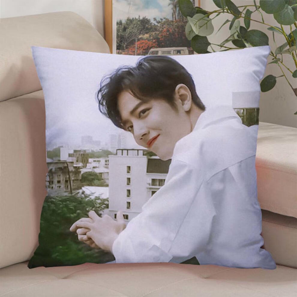 秋思肖战抱枕 真人边双面靠枕真人diy生日礼物枕头舒适柔软靠垫 01 60