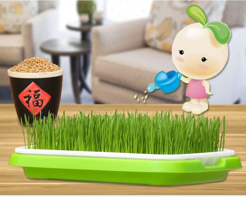 芽苗菜育苗盘豆芽发芽育苗盆托盘杯豆苗种植神器芽菜小麦种子蔬菜 1套