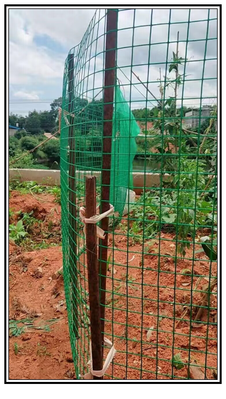 铁丝网护栏网圈地围栏网养殖鸡鸭兔网荷兰网护钢丝网小孔鼠网 宝蓝色