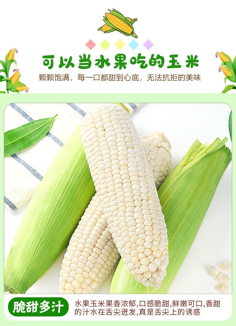 云南牛奶白糯玉米新鲜应当季现摘苞谷水果爆浆甜嫩白玉米棒整箱精选3