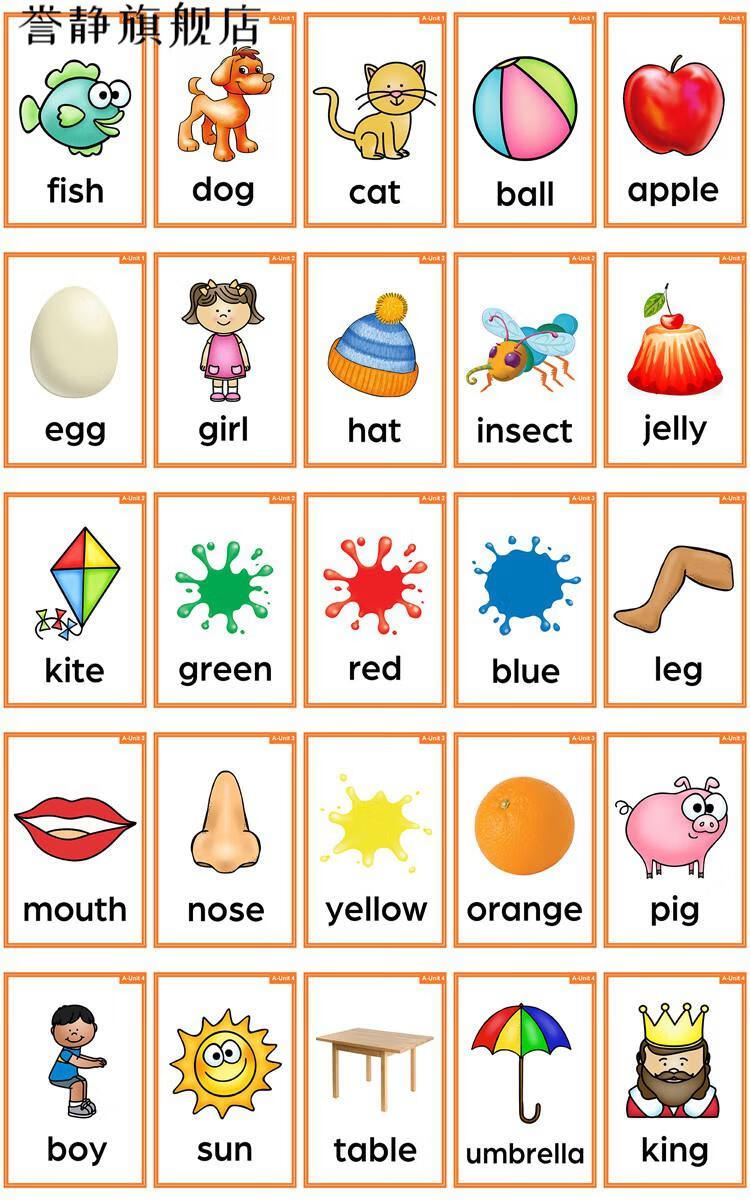 新概念英语青少版入门级a,b单词大卡片过塑封教具小学生学习闪卡 入门