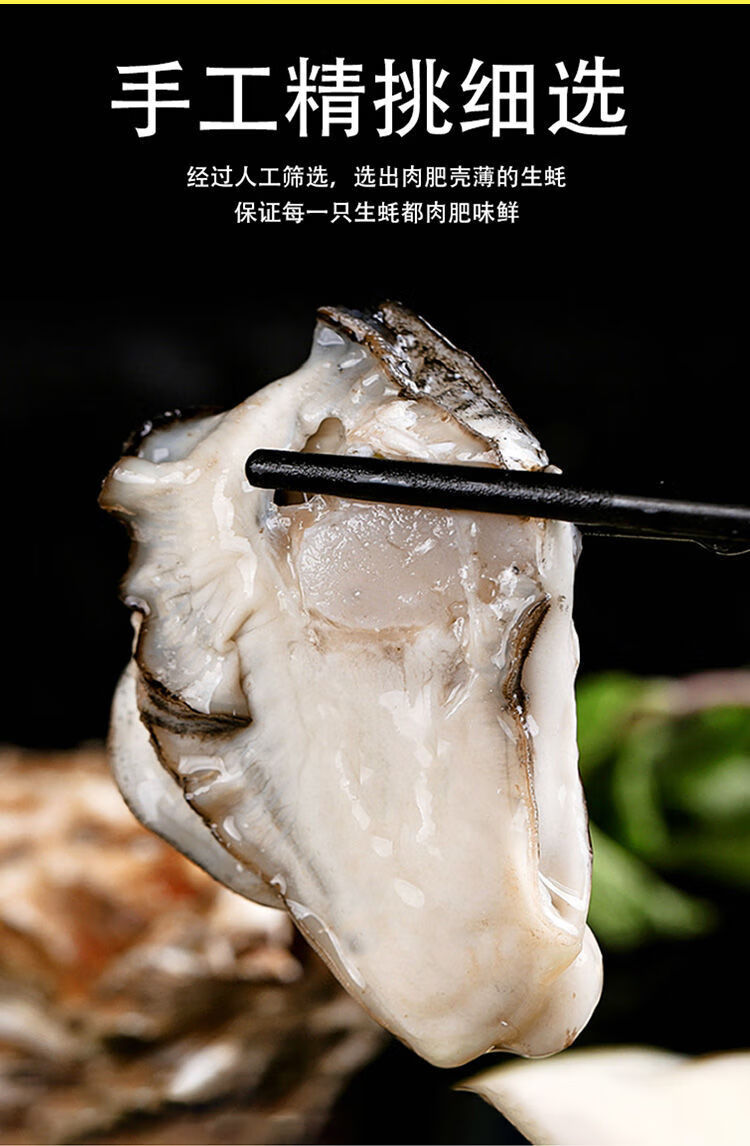山东日照大号生蚝牡蛎海蛎子 肥生蚝鲜活海鲜 产地顺丰直发 净重5斤