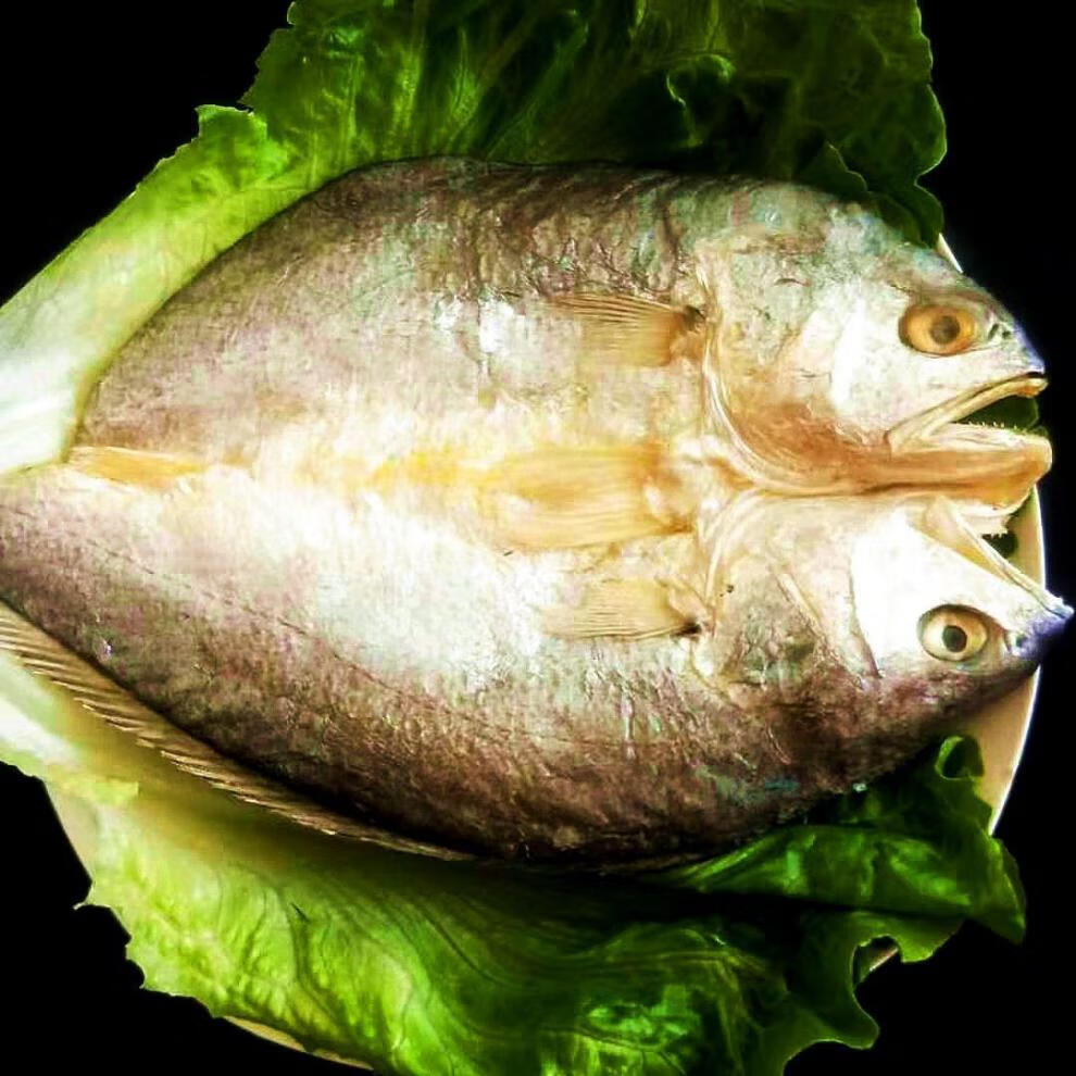 温州特产东海黄鱼干黄花鱼自晒咸鱼干海鲜水产干货黄鱼鲞250克3条小