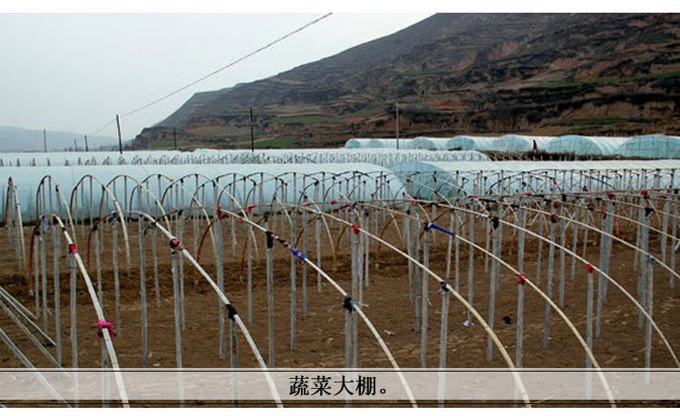 竹片竹条楠竹毛竹板温室龙骨大棚竹篱笆蔬菜架农用搭架竹栅栏竹子君吻