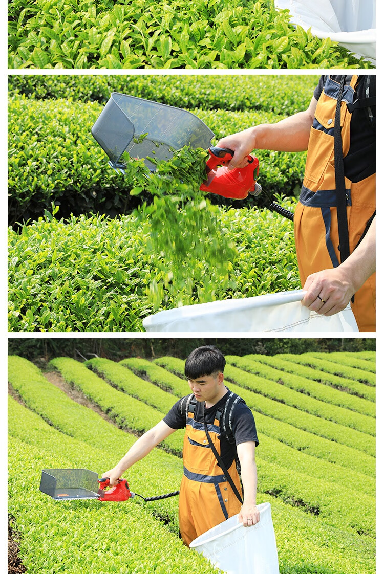摘茶叶神器电动 锂电池充电式电动采茶机单人小型便携式自动剪茶叶