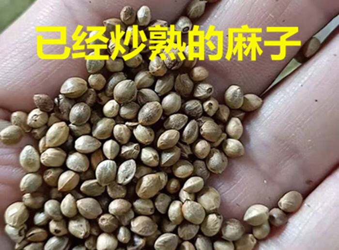 熟小麻子线麻子底肥腰肥君子兰肥直接用无需加工效果好熟麻子15斤