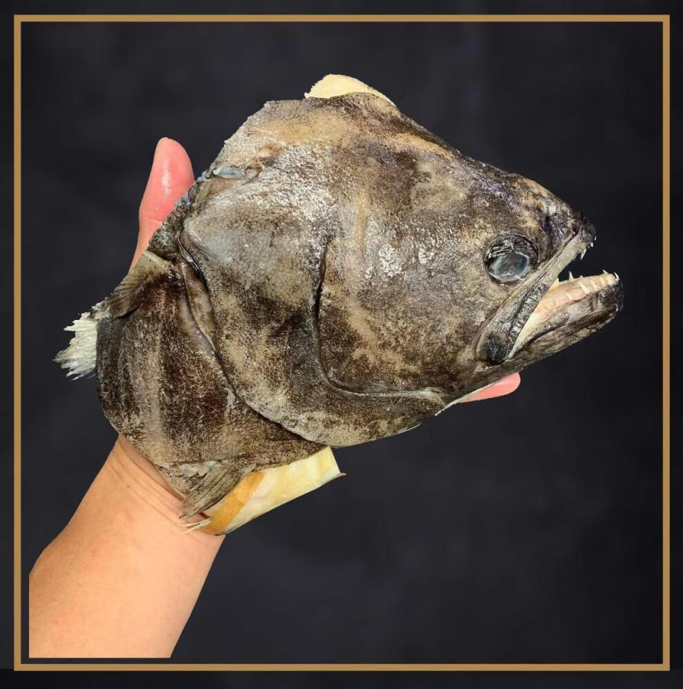 冷冻深海鲽鱼头蝶鱼头新鲜目鱼头鸦片鱼头腾旺纳跃鱼头7两9两只买1囎1