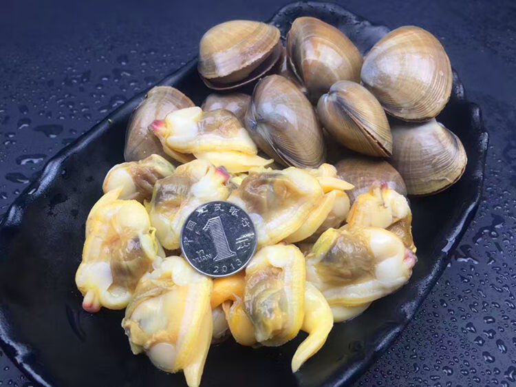 橙臻鲜黄海蛤蜊无沙黄蚬子鲜活速冻大文贝即食海鲜零食无沙黄蚬3斤