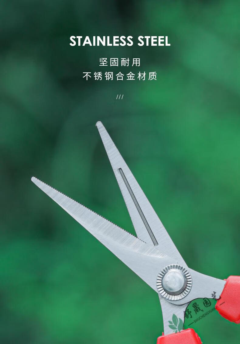 不锈钢园艺剪刀修枝剪葡萄火龙果蔬果剪采摘花椒专用剪长直头
