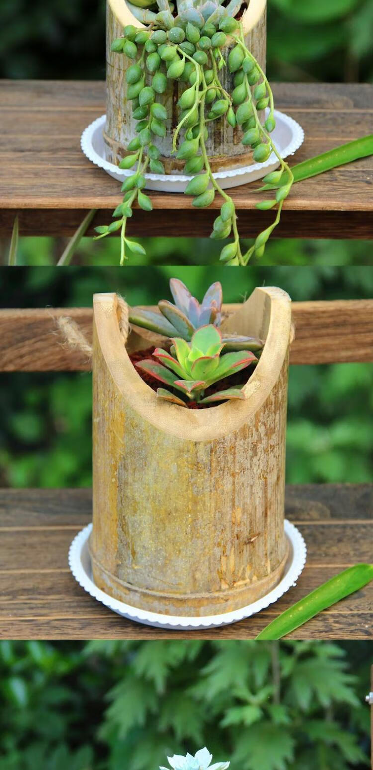 好韵桌摆花盆多肉植物花器自然环保简约竹节花盆垂吊竹筒花盆56厘小号