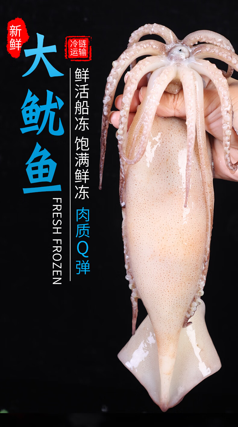 大鱿鱼生鲜整只冷冻新鲜鱿鱼须铁板烧烤商用批发海鲜鲜活水产整只大