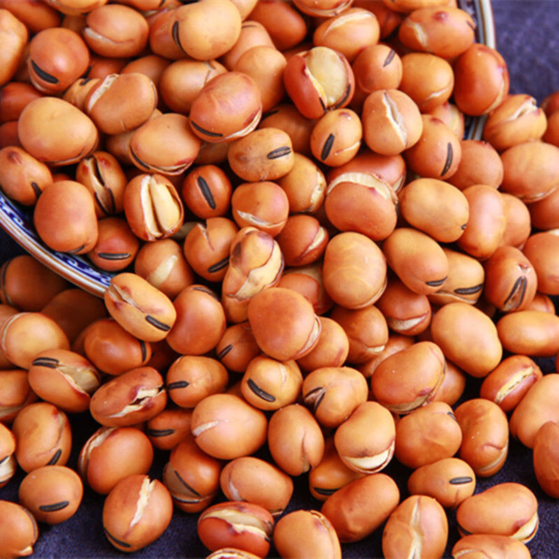 四川特产干炒蚕豆小胡豆原味手工盐炒胡豆熟蚕豆1斤原味休闲零食 微甜