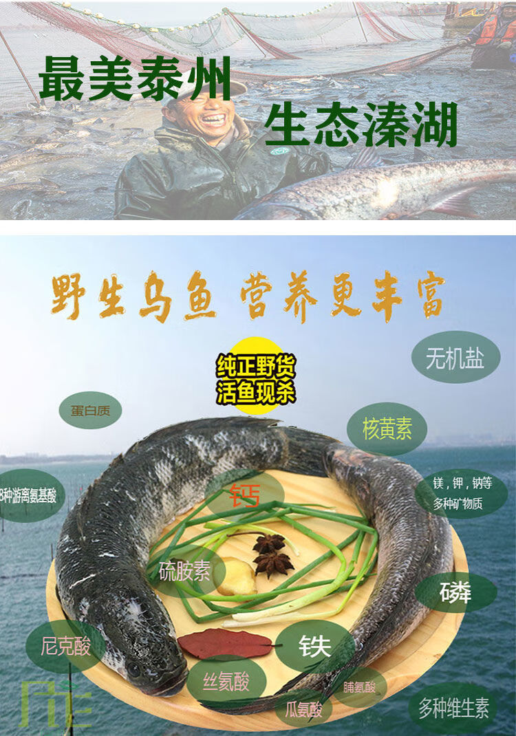 黑鱼乌鱼财鱼新鲜炖汤术后养生活鱼现捕现杀割片整条黑鱼烤鱼炖汤酸菜