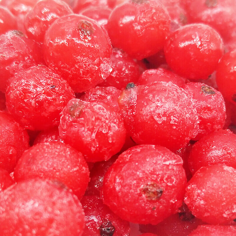 速运新鲜水果红加仑冷冻不带茎红加仑红醋栗红加伦浆果1kg