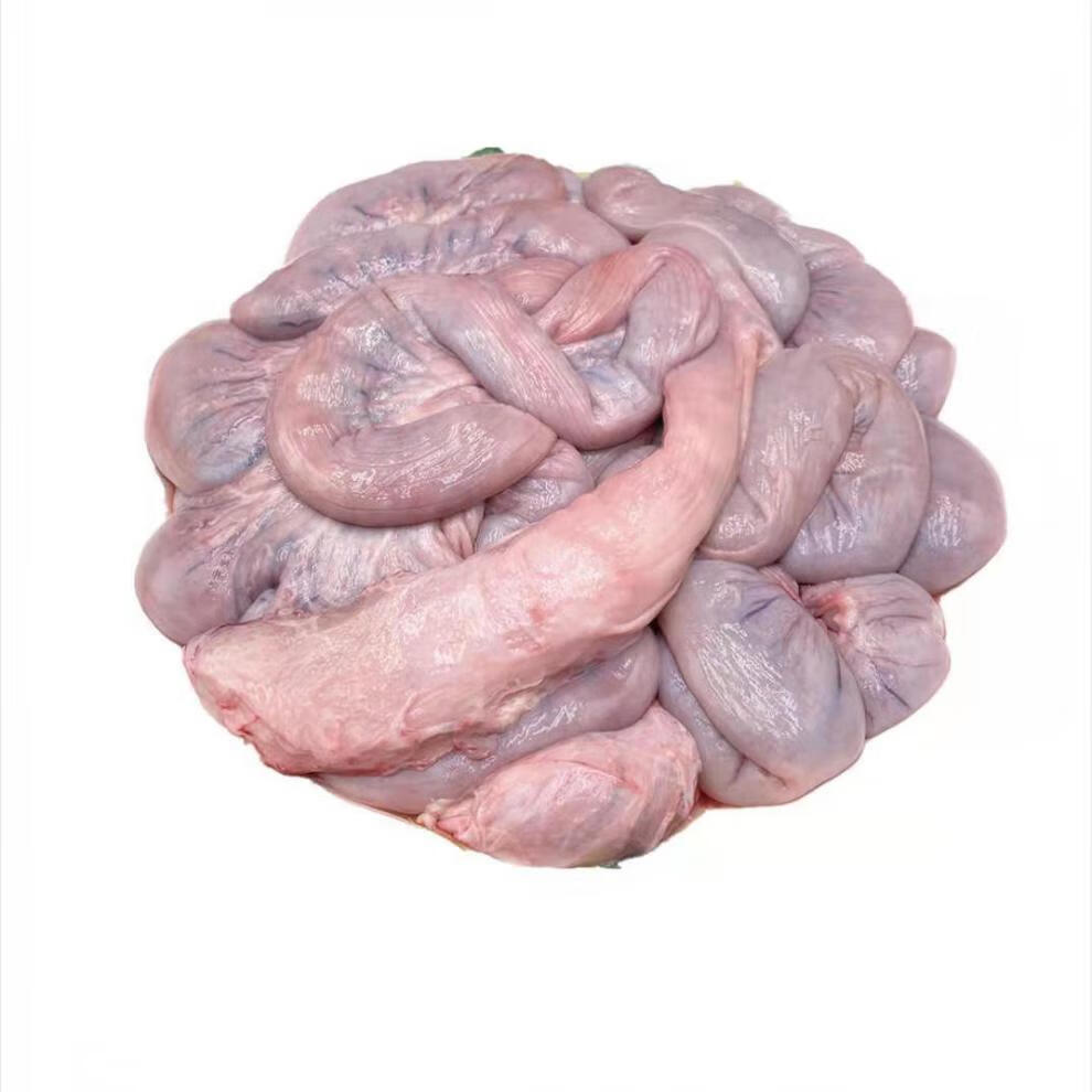 农家土猪新鲜散养猪仔肠猪脆肠火锅烧烤 鲜猪土猪花肠20斤【图片 价格