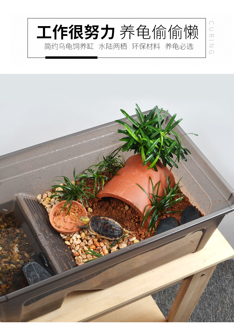 乌龟缸黄缘专用饲养箱造景生态大号缸水陆两栖半水龟躲避龟缸家用黄缘