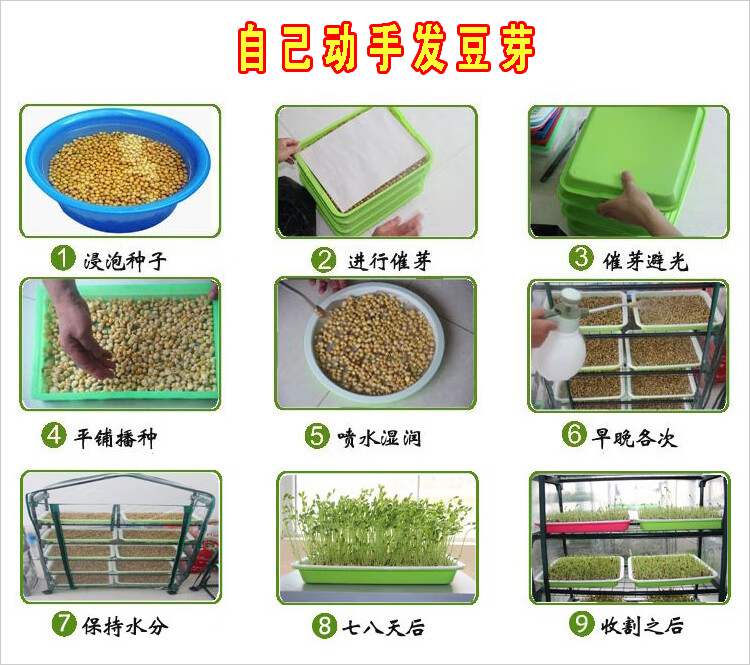 名称:芽苗菜种植盘无土栽培育苗盒小麦芽菜种植盘芽苗菜设备豆芽盘