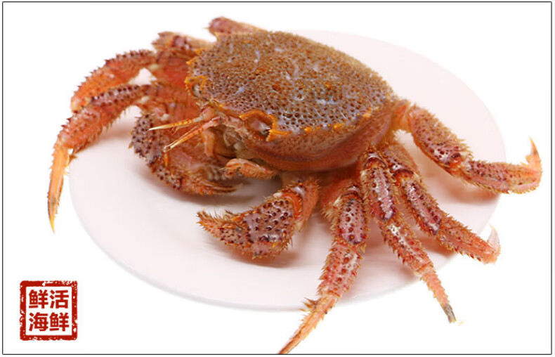 海升东 【活鲜】北海道红毛蟹 1-3斤 活体发货 海鲜水产 活体红毛蟹