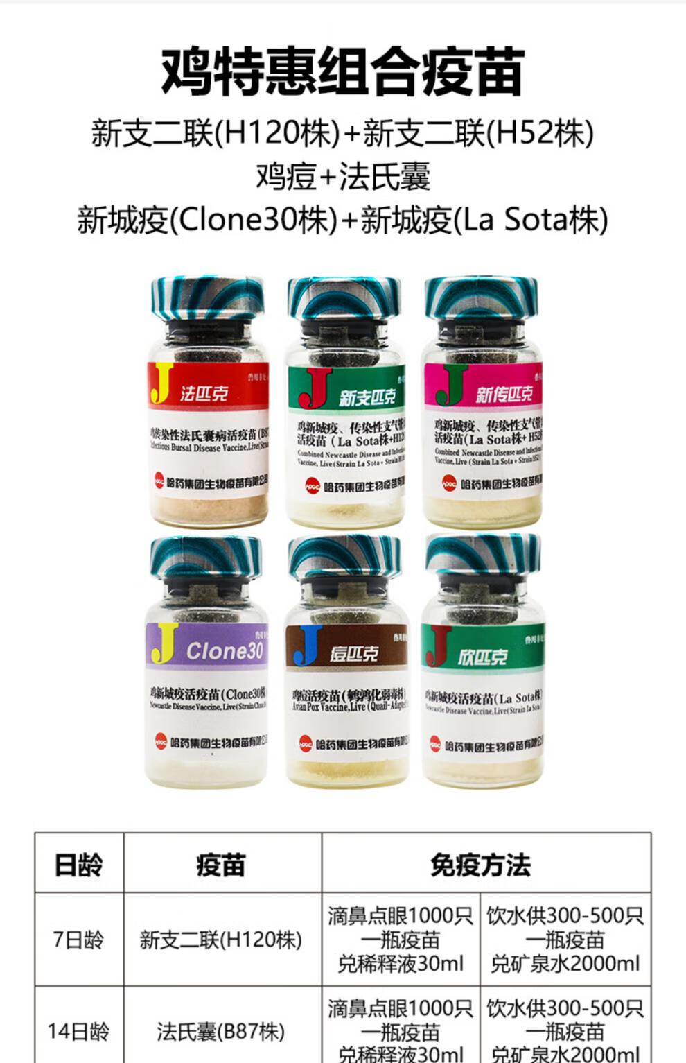 鸡疫苗鸡瘟鸡痘法氏囊马立克新城疫支气管炎肉鸡蛋鸡疫苗7支组合 7支
