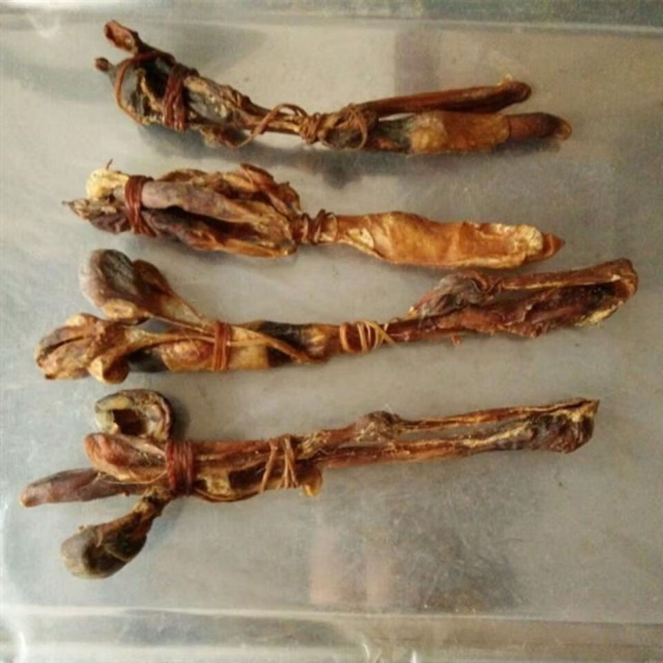 海狗鞭肾狗中药材滋补泡酒养生煲汤佳品煮粥大补 5条装 人参一支