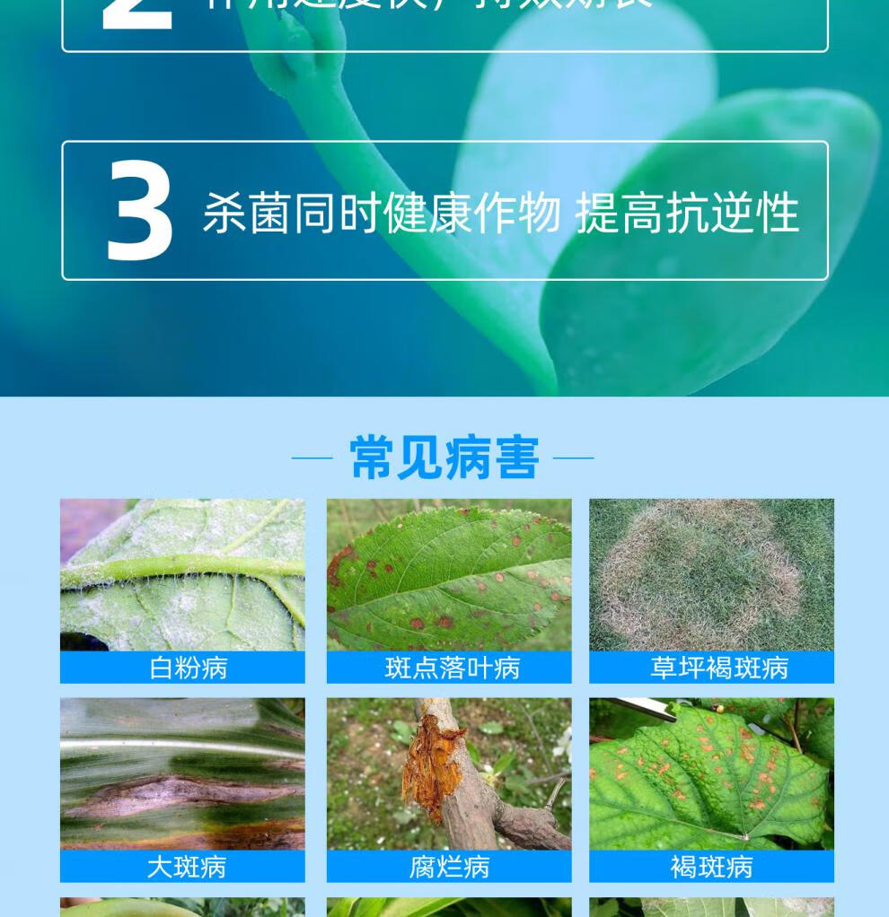 柑橘白粉病特效药有哪些图片及名称及作用(柑橘树白粉病用什么药?)