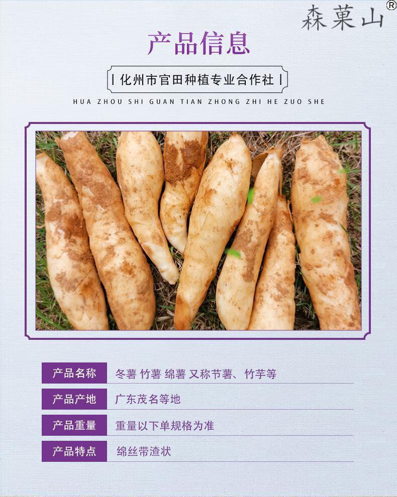 顺丰广东化州竹芋新鲜冬薯竹薯面薯化州特产农家绵薯