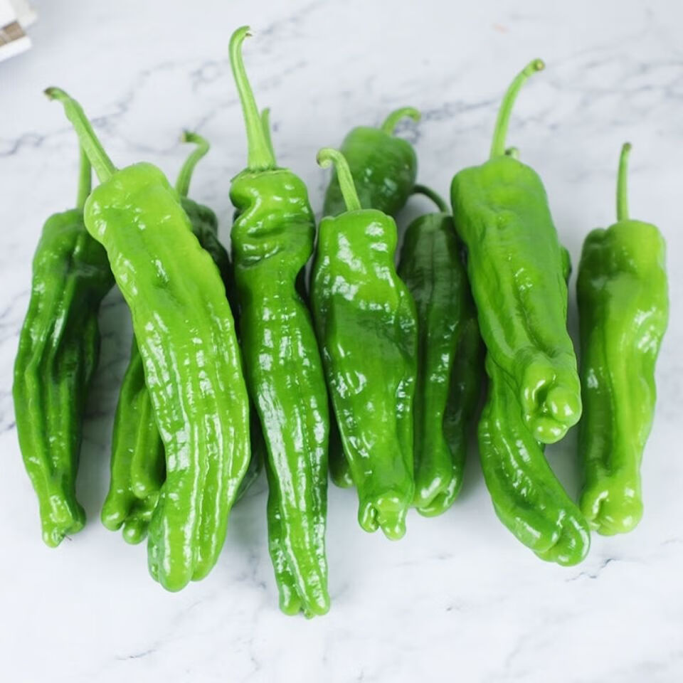 新鲜薄皮微辣虎皮青椒新鲜薄皮蔬菜整箱 薄皮青椒3斤装【图片 价格