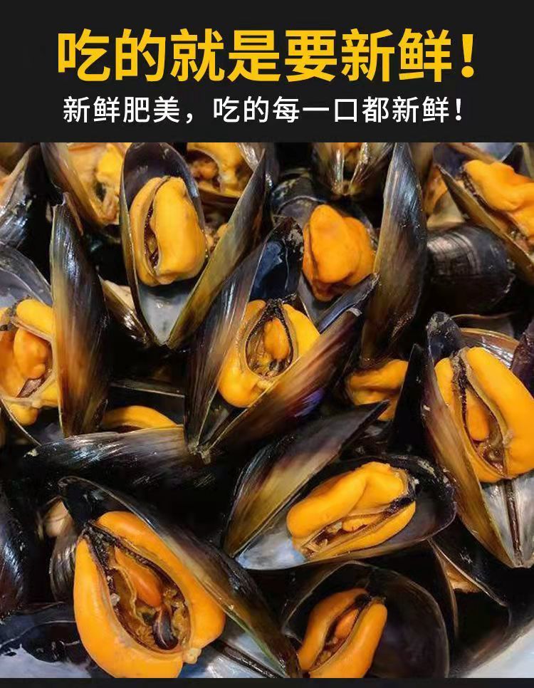 青口贝鲜活超大新鲜无沙海虹淡菜贻贝紫口贝贝类整箱海鲜水产买2加13
