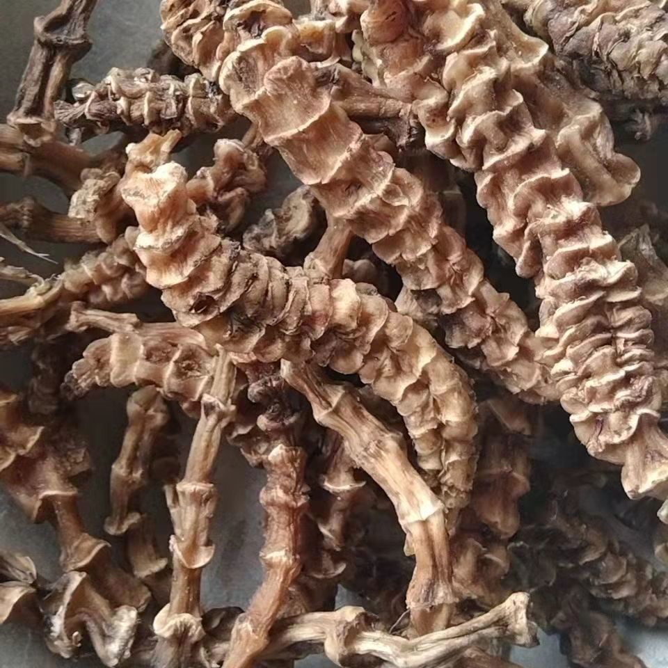 顶天柱阳鞭劲云南苗家腾冲特产野生中草药泡酒料中药材药酒料野生