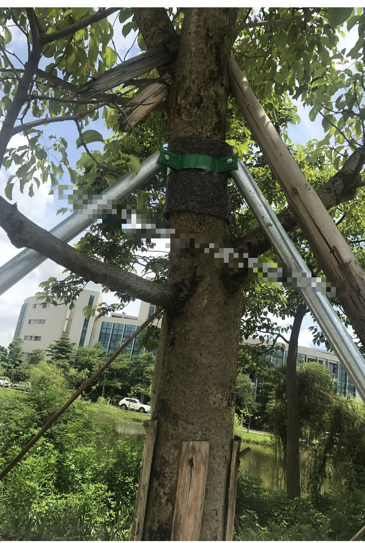 镀锌钢管树木支撑架 金属铁抱箍固定器 园林绿化防风大树撑杆(不含