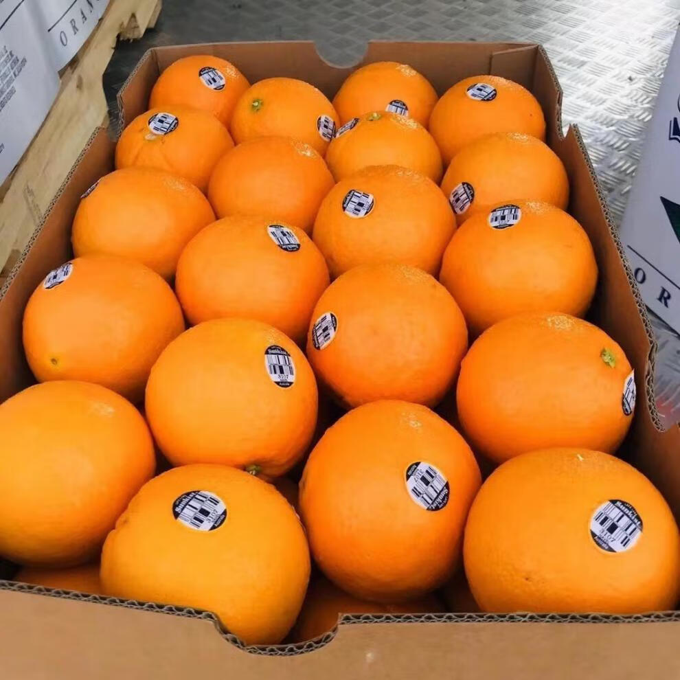 【24小时速发】美国新奇士橙黑标3107脐橙 新鲜进口美橙sunkist甜橙子