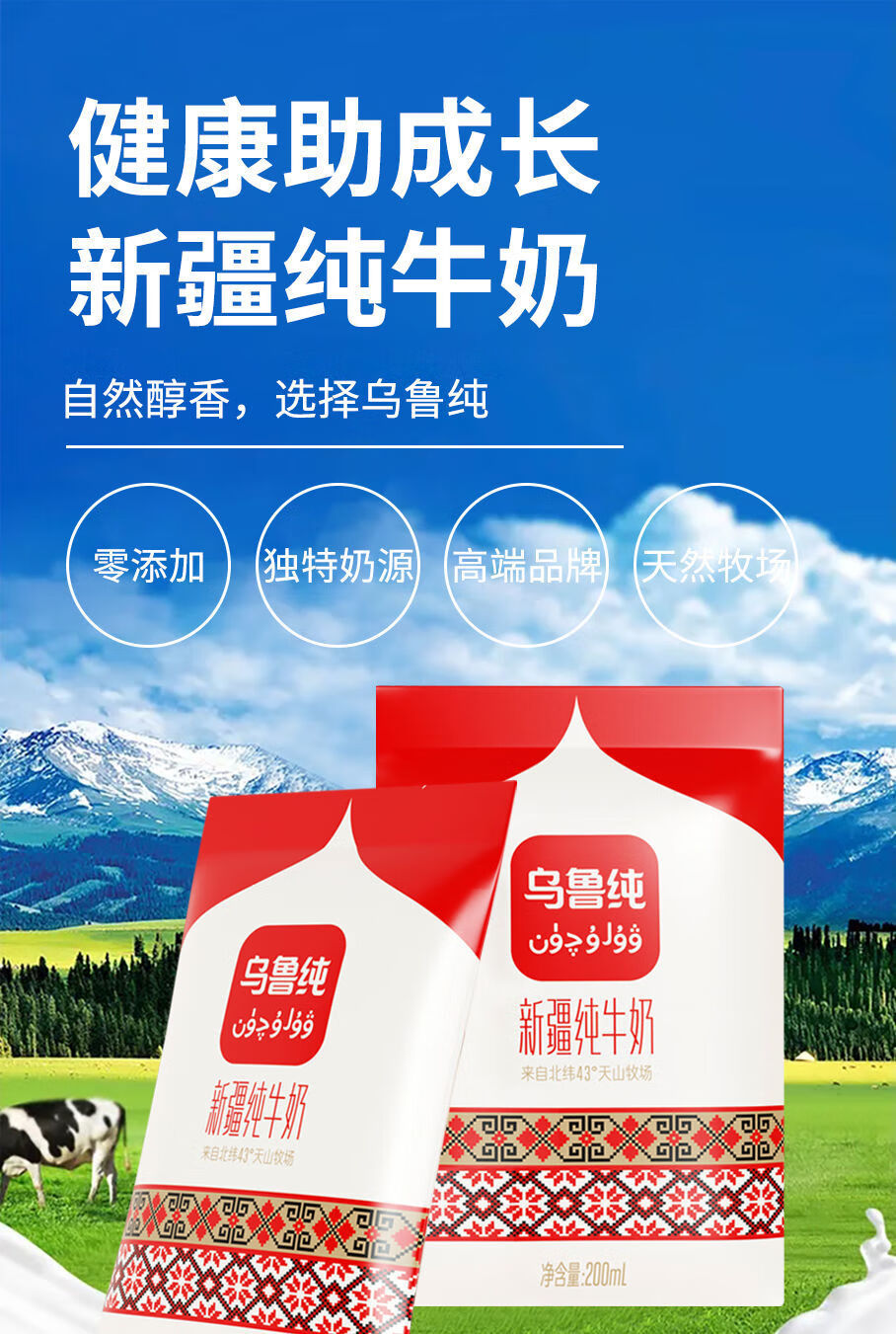 营养早餐水果酸奶 乌鲁纯纯奶 新疆纯牛奶12袋整箱【图片 价格 品牌