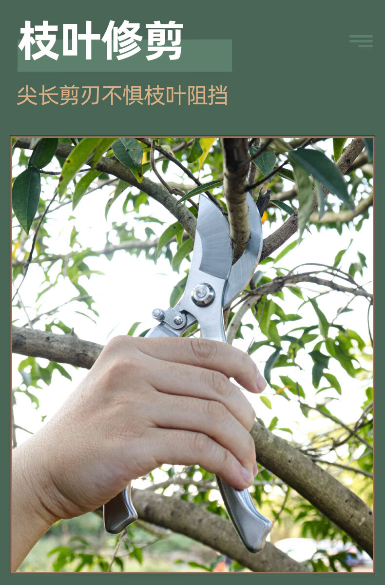 花剪剪枝剪刀修枝剪园林园艺省力修剪树枝果树嫁接摘果用剪子鸿致v601