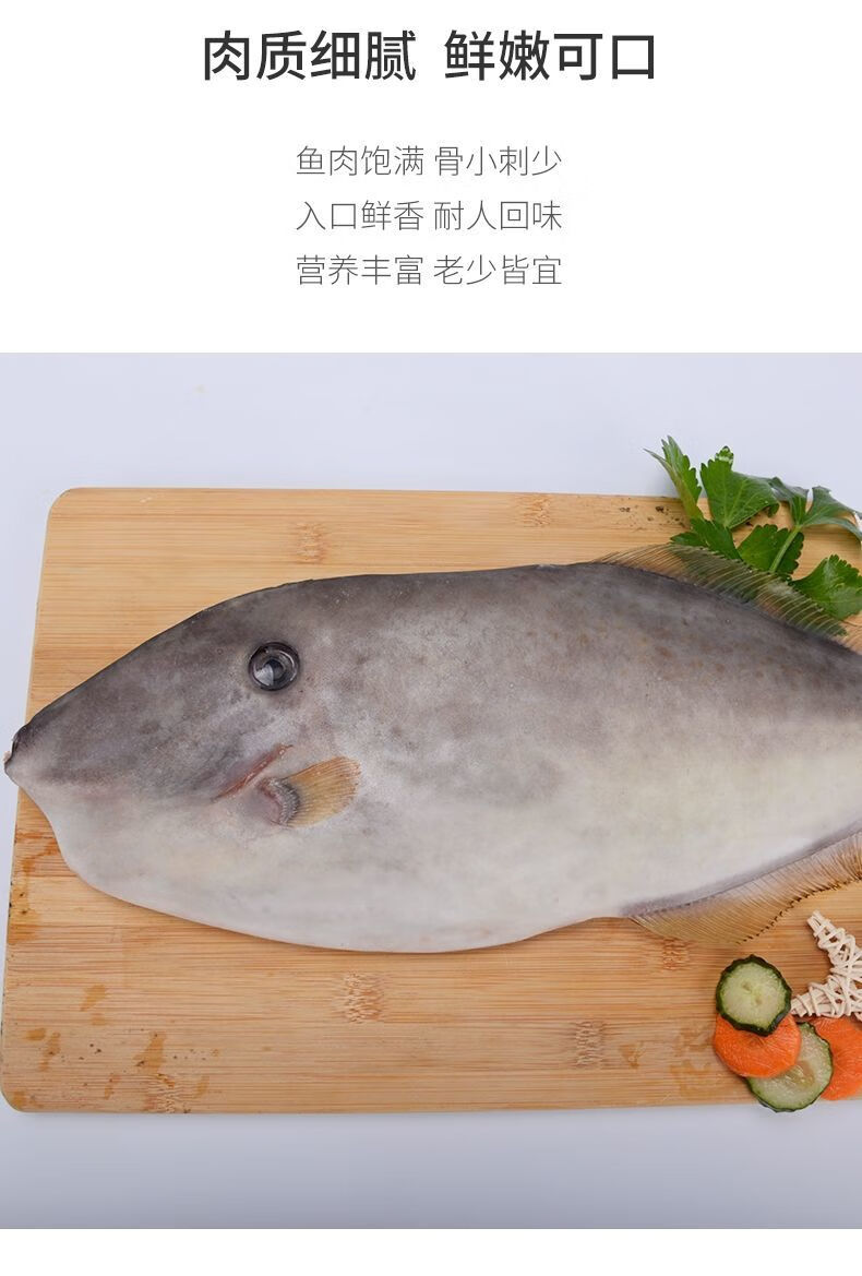 东海新鲜马面鱼剥皮鱼扒皮鱼耗儿鱼剔皮鱼皮匠鱼面包鱼烧烧角新鲜剥皮