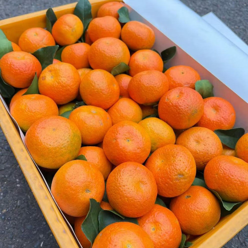 花客悦 【顺丰】金秋沙糖桔新鲜果肉爽嫩多汁化渣甜 5斤 金秋沙糖桔