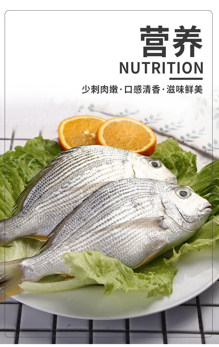 铭语然 黄翅鱼黄刺鱼鲜活活冻海鲜水产 2条2斤【图片 价格 品牌 报价