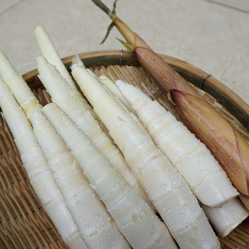 现货苦笋新鲜四川省乐山宜宾甜笋苦竹笋春笋嫩笋子带壳大笋7斤